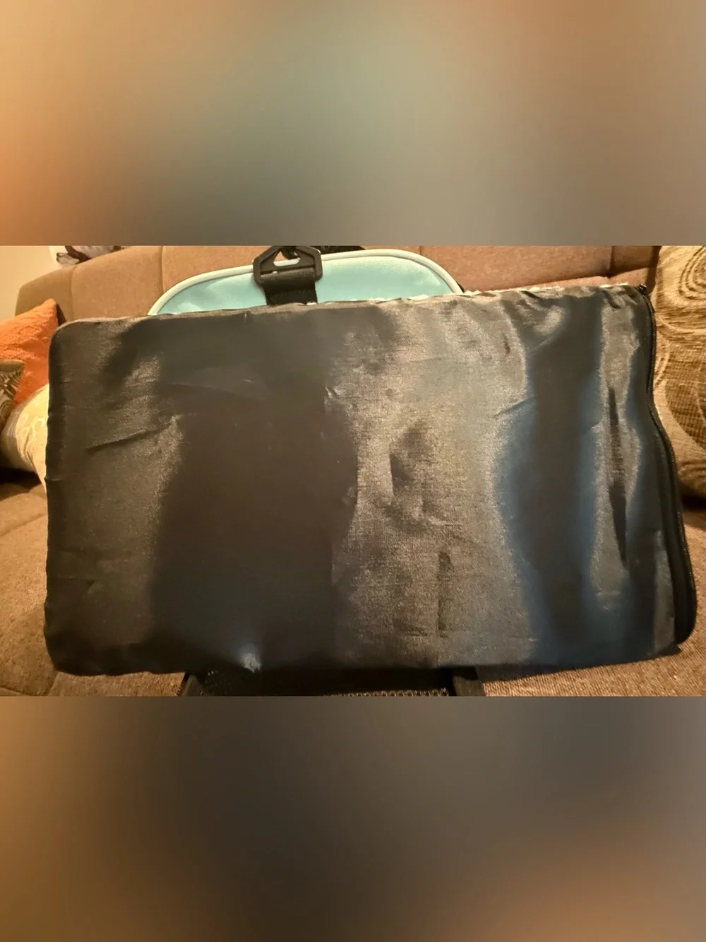 Dog/cat carrier